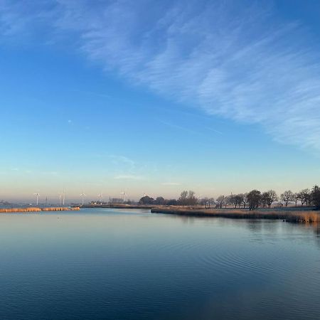 Hausboot Der Frieslaender Im Wangermeer Шиллиг Экстерьер фото